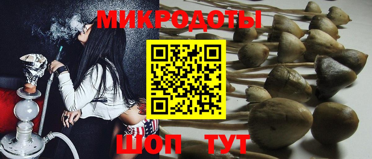 Галлюциногенные грибы MAGIC MUSHROOMS  Псилоцибиновые грибы GOLDEN TEACHER  Вход с VPN  Аргун 