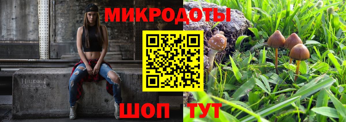 Галлюциногенные грибы Magic Shrooms Аргун