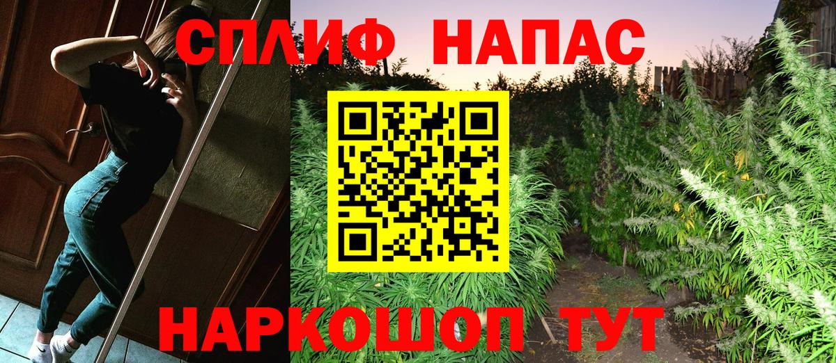 Конопля индика Аргун
